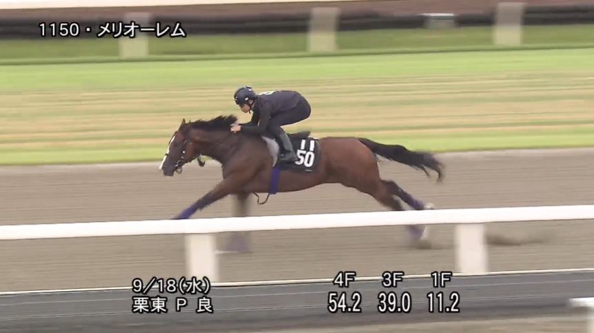 【神戸新聞杯2024】追い切り/動きを見極め勝利に近づけ