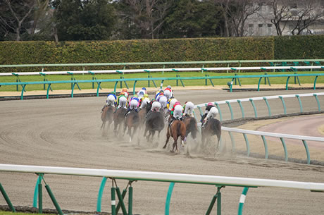 【JRA】2025年度の開催日割発表もダート競走はほぼテコ入れせず