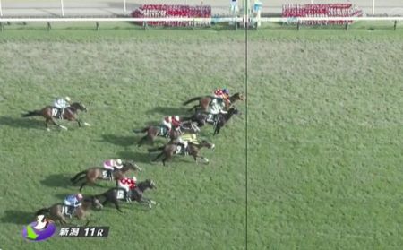 【競馬】新潟記念は木幡初騎乗のシンリョクカがＶ　ライトバックは放馬して競走除外に