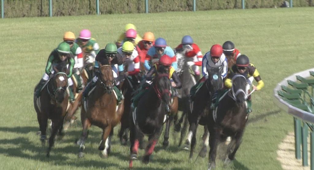 【競馬】ピオネロ会員が大暴れ