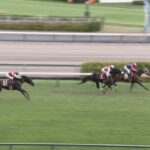 【神戸新聞杯2024】結果・動画/メイショウタバルが大逃げ決める