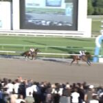 【不来方賞2024】結果・動画/サンライズジパングが3馬身差の圧勝