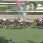 【競馬】紫苑Sは石川騎乗のクリスマスパレードがレコードでV ボンドガールは3着