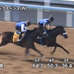 【毎日王冠2024】追い切り/抜群の動きを見せたのは