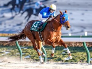 レモンポップ、JBCスプリントかチャンピオンズカップでラストランか 種牡馬入りへ