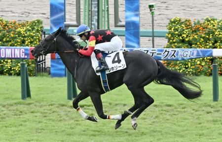 【2歳新馬】分析したらシホリーンはかなり強いことが判明