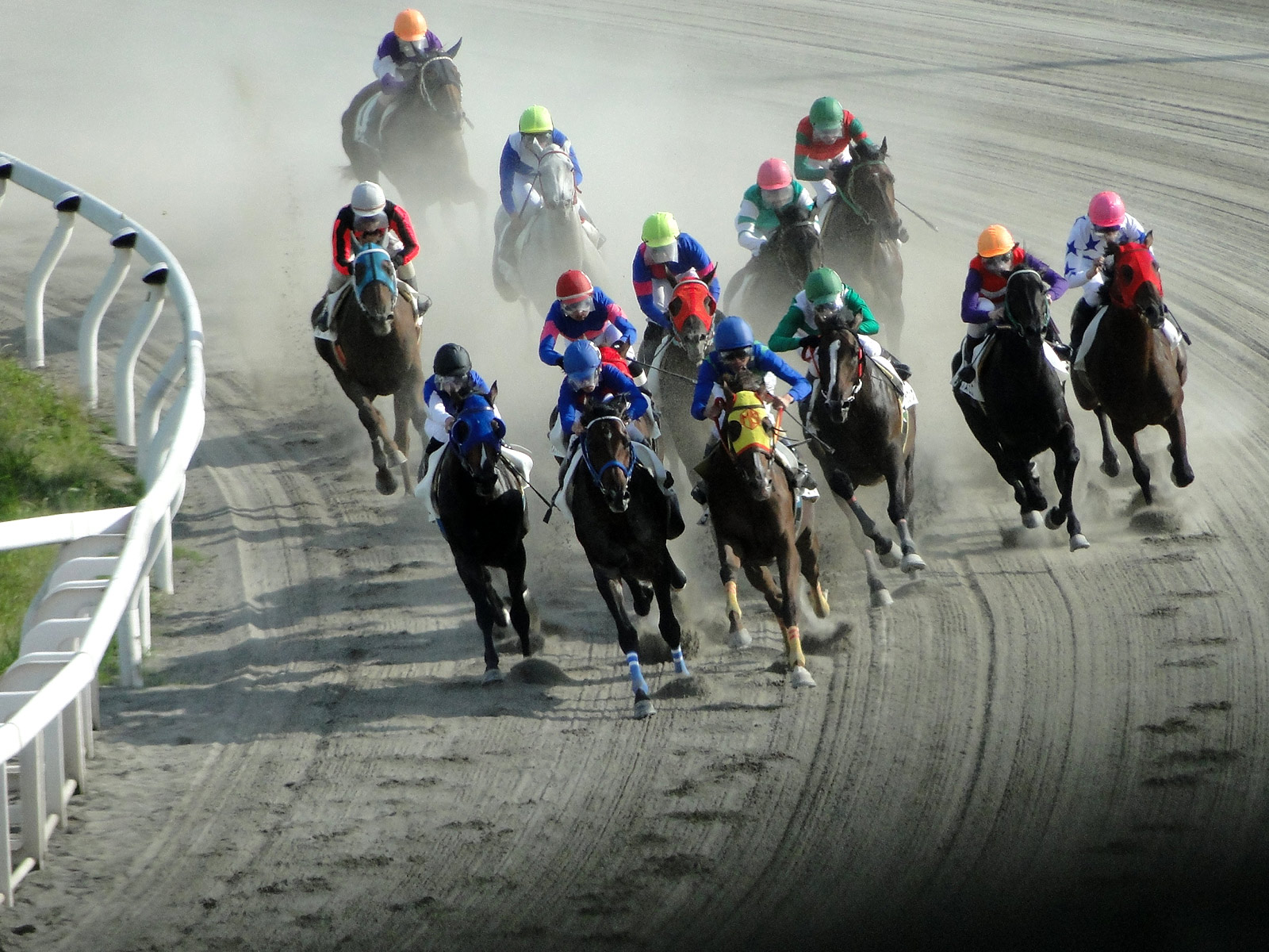 やっぱり今の日本馬はダートしか海外では期待出来ないな