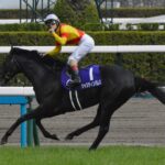 ジャスティンパレスこれ勝てないだろwww