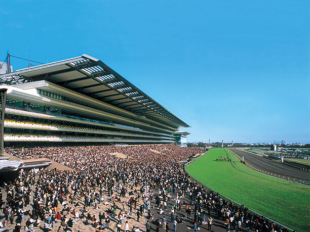 東京競馬場来たら競馬やってなくてクソワロタ