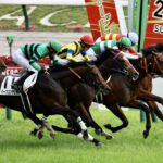 タスティエーラ秋天参戦表明www
