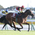 【府中牝馬S】ブレイディヴェーグが快勝!エリ女に続き重賞2勝目