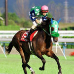 キングヘイローって神種牡馬では?