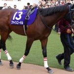 「意外と頑張ってるよな、この種牡馬」といえば?