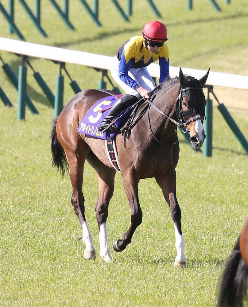 最弱の秋華賞馬←1番に思い浮かぶの