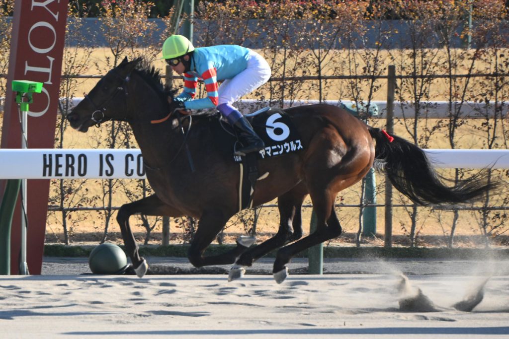 ヤマニンウルスがもしチャンピオンズCに出られるなら勝利は確実だな