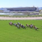 2024年の今の時点で競馬って世界的に崩壊してないか