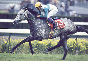 1990年代に活躍した競走馬を挙げてけ