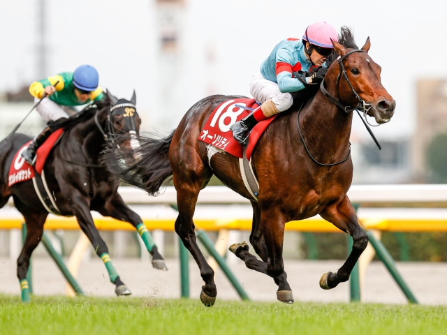 三大種牡馬になってほしかった馬「ドリームパスポート」「オーソリティ」