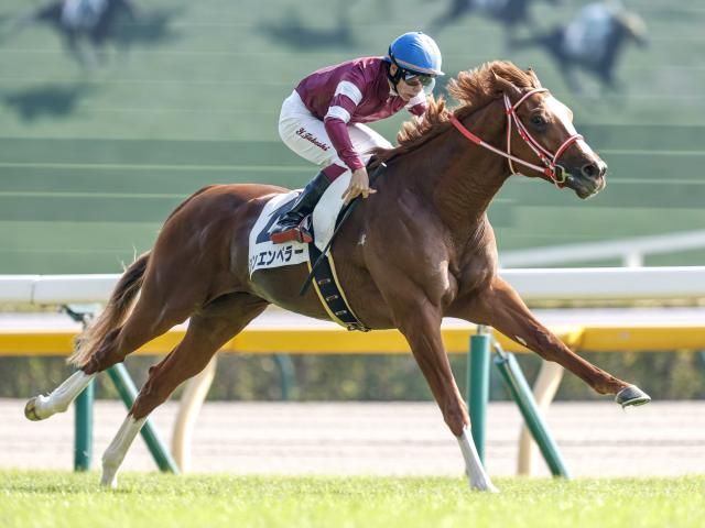 じゃあどの日本馬なら今年の凱旋門賞勝てたんだよ？