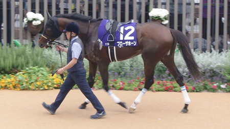 【京都大賞典】ブローザホーン弱すぎワロタｗｗｗ