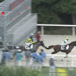 【大井3R】2頭立てwww 単勝140円・馬連100円・馬単190円