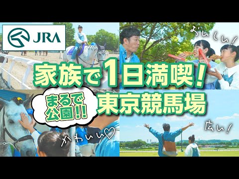 家族で大満喫！ピクニックに乗馬体験もできちゃう東京競馬場｜JRA公式