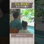 本当に競馬場!?まるで公園!🌳 #shorts | JRA公式
