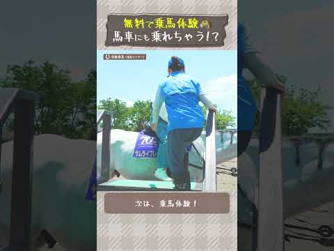 無料で乗馬！？馬車にも乗れちゃう✨！ #shorts | JRA公式