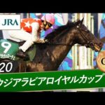 2020年 サウジアラビアロイヤルカップ(GⅢ) | ステラヴェローチェ | JRA公式