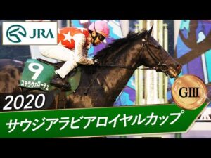 2020年 サウジアラビアロイヤルカップ（GⅢ） | ステラヴェローチェ | JRA公式
