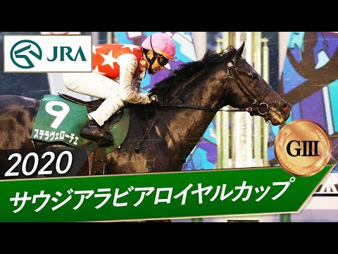 2020年 サウジアラビアロイヤルカップ（GⅢ） | ステラヴェローチェ | JRA公式