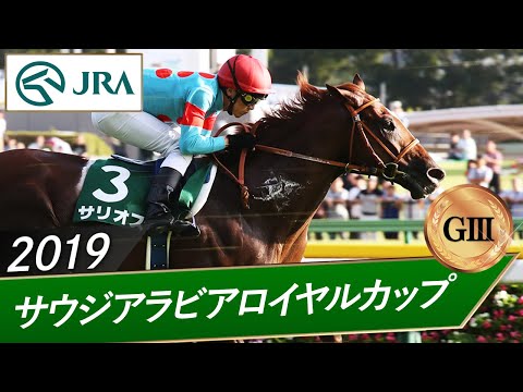 2019年 サウジアラビアロイヤルカップ（GⅢ） | サリオス | JRA公式