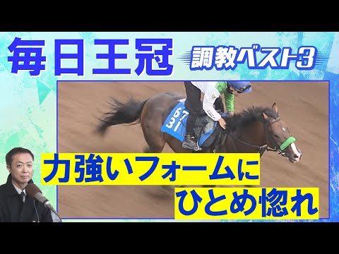 「1位は他2頭と○○○が違う！」ローシャムパーク、シックスペンス 、エルトンバローズ・・・競馬エイト・高橋賢司トラックマンの調教解説＜毎日王冠(ＧⅡ)＞