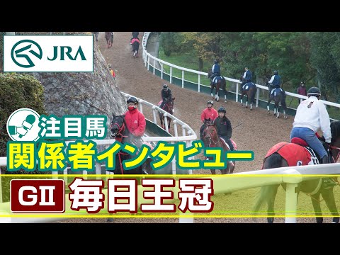 【注目馬 関係者インタビュー】2024年 毎日王冠｜JRA公式