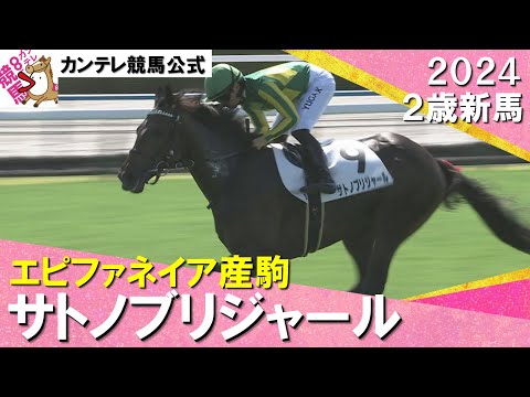 セレクトセール1億7000万円 良血サトノブリジャールがデビュー勝ち！　2024年 10月6日(日)２歳新馬　京都芝1800ｍ　実況：川島壮雄【カンテレ公式】