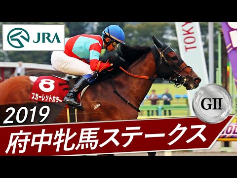 2019年 府中牝馬ステークス（GⅡ） | スカーレットカラー | JRA公式