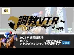 調教VTR|2024年 マイルチャンピオンシップ南部杯 JpnI|NAR公式