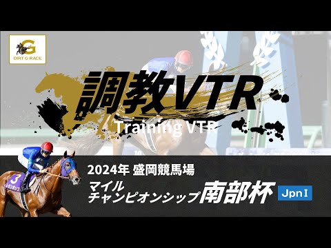 調教VTR｜2024年 マイルチャンピオンシップ南部杯 JpnI｜NAR公式