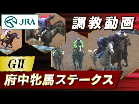 【調教動画】2024年 府中牝馬ステークス｜JRA公式