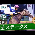 2019年 富士ステークス(GⅢ) | ノームコア | JRA公式