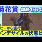 「すごく不気味に感じる」ダノンデサイル、アーバンシック 、コスモキュランダ・・・競馬エイト・高橋賢司トラックマンの調教解説<菊花賞(GⅠ)>