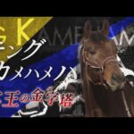 【メモリアルレース紹介】キングカメハメハメモリアル | JRA公式