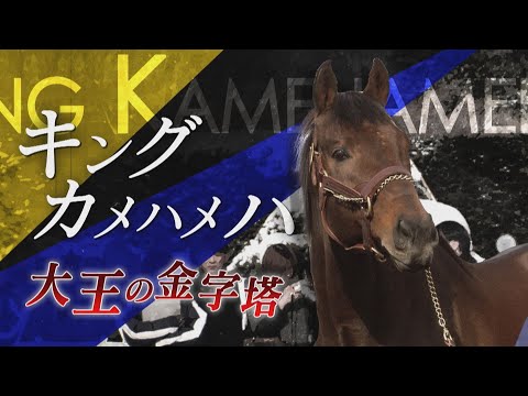 【メモリアルレース紹介】キングカメハメハメモリアル | JRA公式