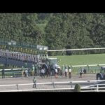 2024 KIKUKA SHO (Japanese St. Leger) (G1) | JRA Official