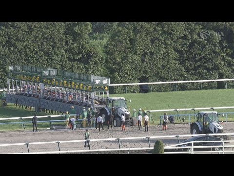 2024 KIKUKA SHO (Japanese St. Leger) (G1) | JRA Official