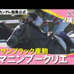 ヤマニンブークリエがゴール前で差す! 武豊騎手「奥が深いと思いますし、楽しみです」 2024年 10月20日(日)2歳新馬 京都芝1800m 実況:川島壮雄【カンテレ公式】