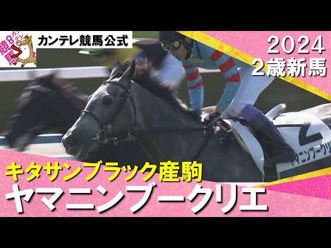 ヤマニンブークリエがゴール前で差す！　武豊騎手「奥が深いと思いますし、楽しみです」　2024年 10月20日(日)２歳新馬　京都芝1800ｍ　実況：川島壮雄【カンテレ公式】