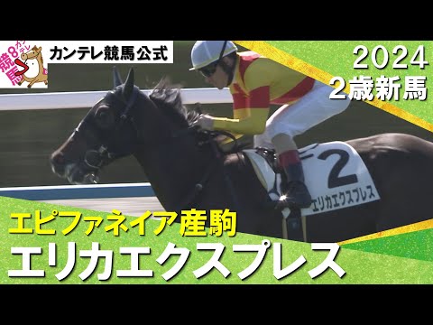 人気に応えエリカエクスプレスが快勝！　ルメール騎手「スタートがとても良かった」　2024年 10月20日(日)２歳新馬　京都芝1600ｍ　実況：川島壮雄【カンテレ公式】