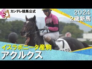 ７番人気のアクルクスがデビュー勝ち！　藤懸騎手「競走馬として言うことがない」　2024年 10月19日(日)２歳新馬　京都芝1400ｍ　実況：石田一洋【カンテレ公式】