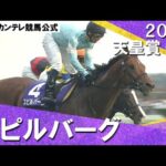 【強力なライバル抑えGⅠ初制覇】2014年 天皇賞(秋)GⅠ スピルバーグ【カンテレ公式】